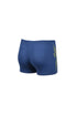 B Swim Short Graphic grey-blue-softgreen